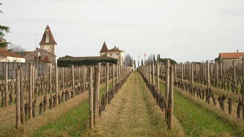 Labels : Des verts et des pas mûrs Bild 1