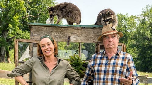 Zimmer mit Stall - Die Waschbären sind los Bild 1