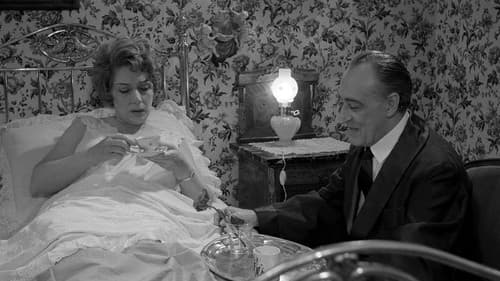 Il comandante Bild 7