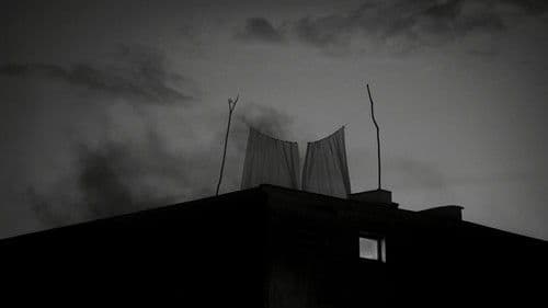 Nikola Vranjković: Večernja zvona Bild 2