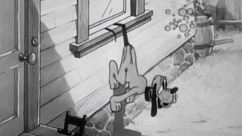 Der tolle Hund Bild 1