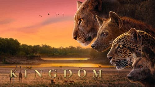 Kingdom Bild 2