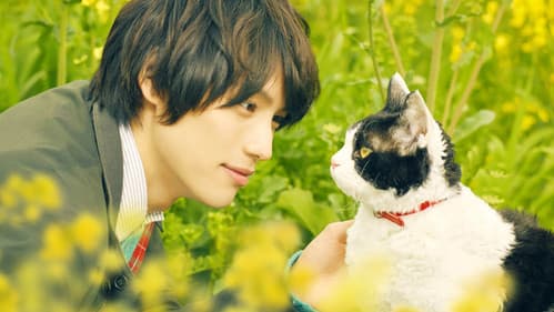 旅猫リポート Bild 1