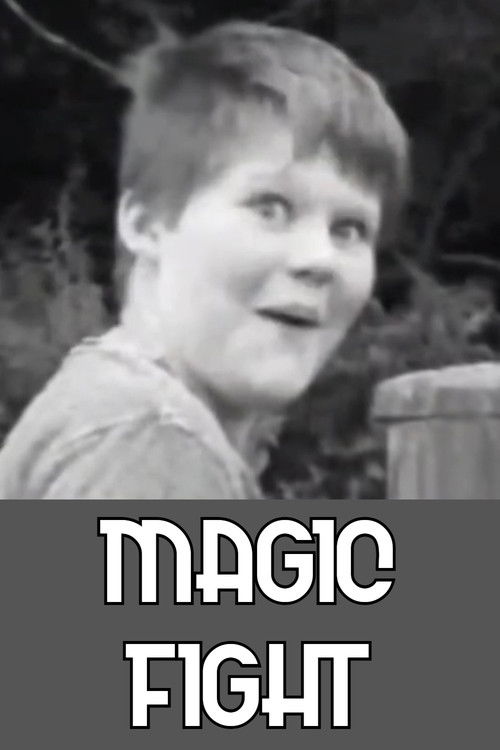 Magic Fight