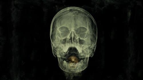 The Bay - Nach Angst kommt Panik Bild 1