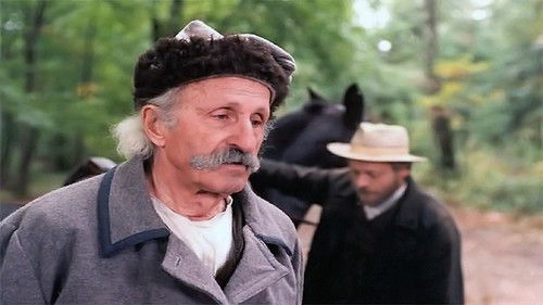 Syzyfowe prace Bild 3