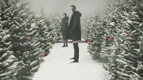 Kommissar Wisting Bild 1