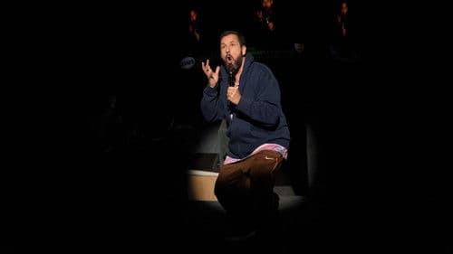 Adam Sandler: Love You Bild 4