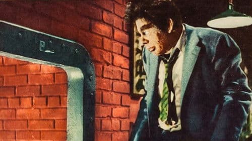 Dracula - Immer bei Anbruch der Nacht Bild 2