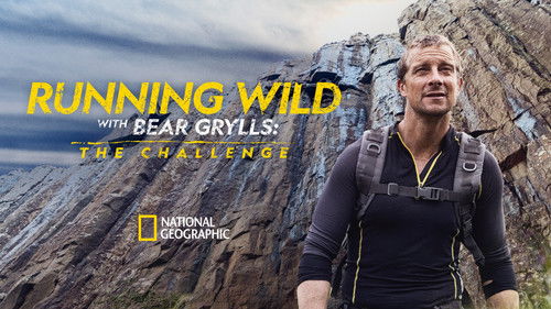 Bear Grylls: Stars am Limit - Die Challenge Bild 1