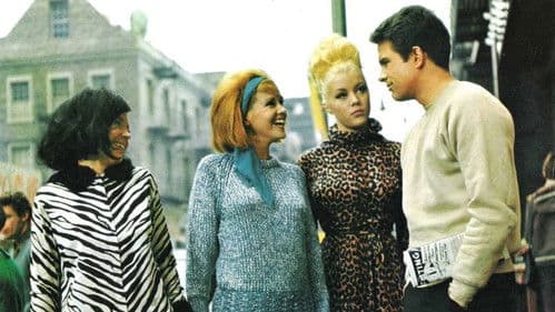 Promise Her Anything Bild 1