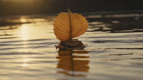 Porcelain War Bild 8