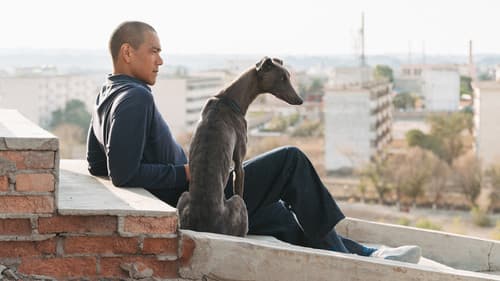 Black Dog - Weggefährten Bild 7