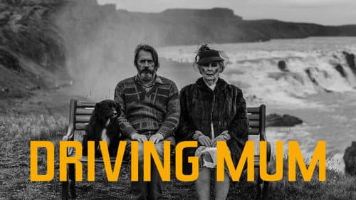 Driving Mom - Unterwegs mit Mama Bild 7