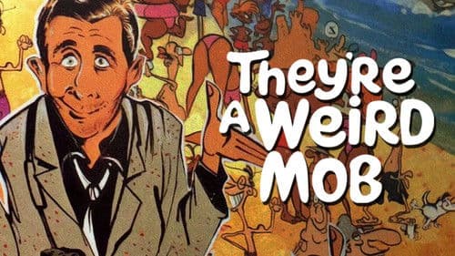 They're a Weird Mob Bild 2