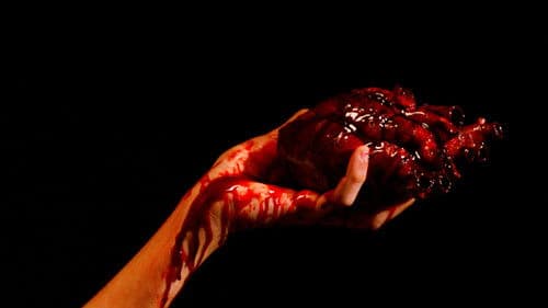 Entre Latidos Bild 2