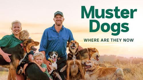 Muster Dogs: Where Are They Now Bild 3