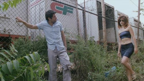 Terror Firmer Bild 7