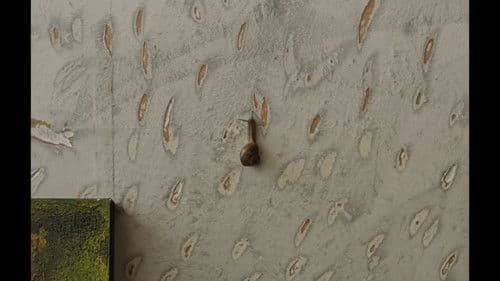 The Mark On The Wall Bild 1