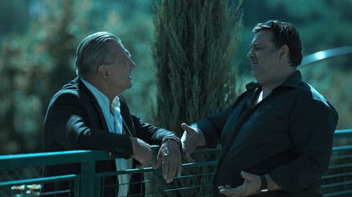 Kalkanski krugovi Bild 4