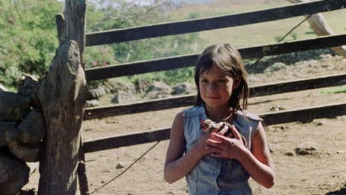 Unterwegs in Nikaragua - Eine filmische Reisebeschreibung für Kinder Bild 2