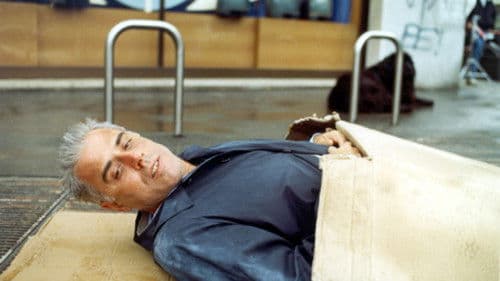 Bibo per sempre Bild 2