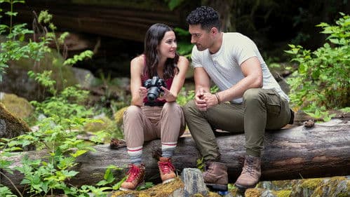 Journey of My Heart Bild 5