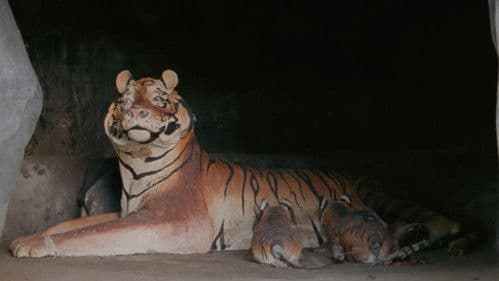 กระบี่, 2562 Bild 3