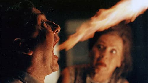 Kuschelnester Bild 2