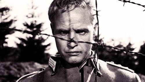 Die jungen Löwen Bild 2