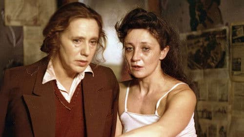 Rok spokojnego słońca Bild 7