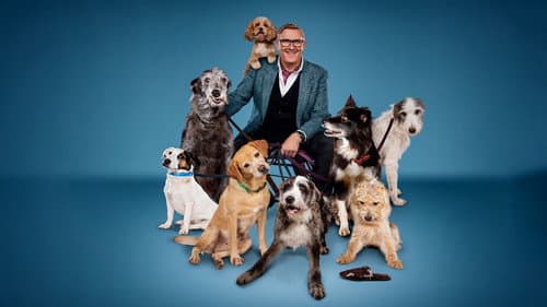 Hunde außer Kontrolle Bild 1