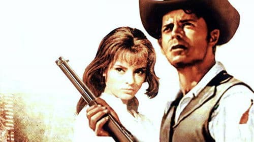 Rocco – der Mann mit den zwei Gesichtern Bild 2