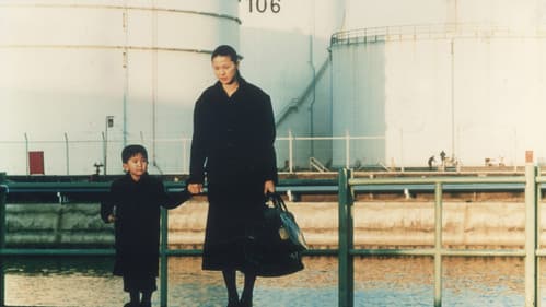 Das Licht der Illusion Bild 4