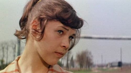 Безбилетная пассажирка Bild 1