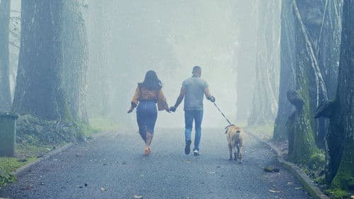 The Perfect Picture: Ten Years Later Bild 1