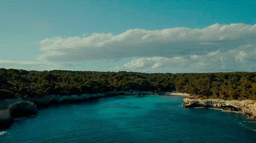 Amor a primera vista Bild 7