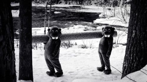 Hundreds of Beavers Bild 6