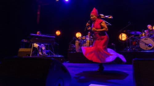 Angélique Kidjo : 40 ans de carrière Bild 2