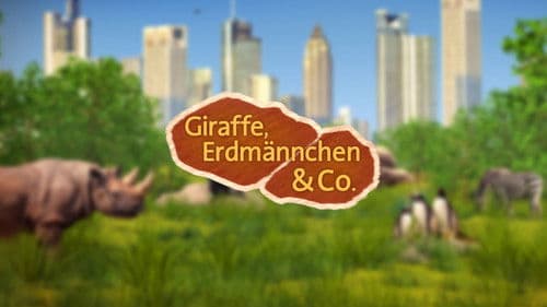 Giraffe, Erdmännchen & Co. Bild 1