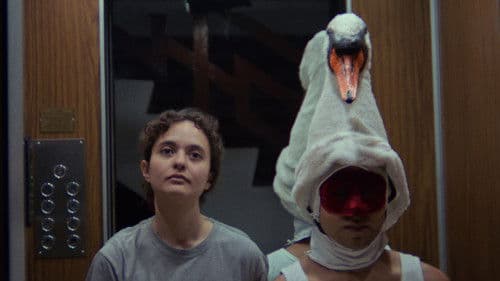 Leda en el Elevador Bild 1