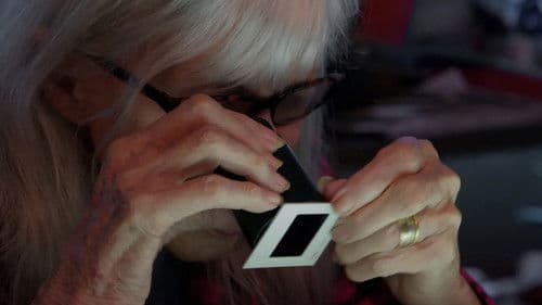 Beyond the Gaze: Jule Campbell's Swimsuit Issue Bild 4