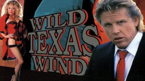 Wild Texas Wind Bild 4