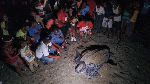 Cacu: A Change for Life Bild 1