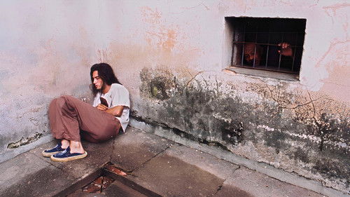 Bicho de Sete Cabeças Bild 3