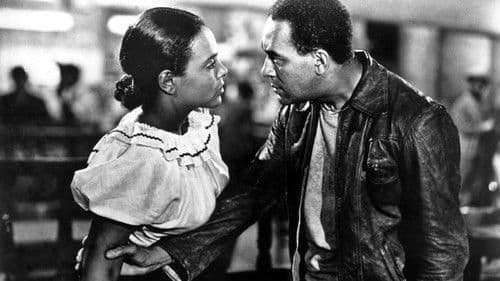 Native Son Bild 1