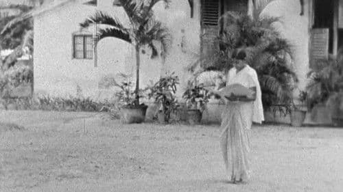 Day at St Christopher's College and School Bild 1