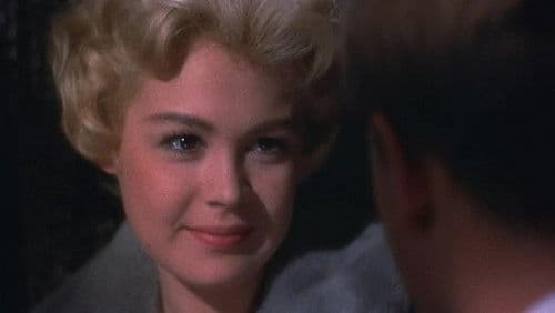 Die Sommerinsel Bild 5