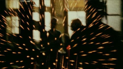 Looking for Mushrooms Bild 3