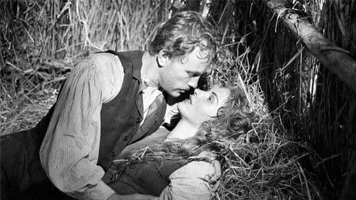 Die Mühle am Po Bild 5